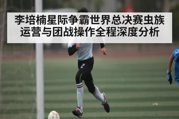 李培楠星际争霸世界总决赛虫族运营与团战操作全程深度分析